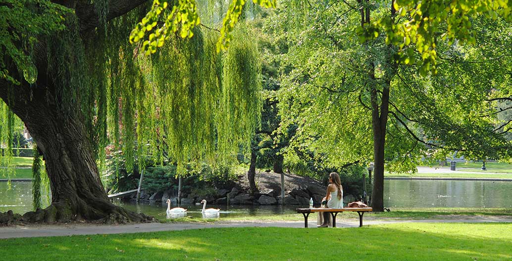 The benefits of parks and public open space for our mental health and physical health are even more evident during a pandemic. Image: Josephine Baran.