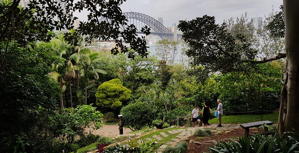 Wendy Whiteley's secret garden in Sydney. Thanks to Sydney Museums, it can be enjoyed virtually through an online video. Image: Wikimedia Commons