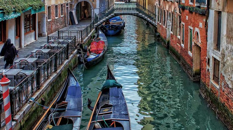 It's true nature is creeping back into cities but not true that dolphins are swimming in Venice canals. Image: Ricard Gomez Angel