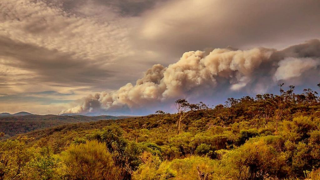 Gospers Mountain, NSW, December 2019. Photo: Meganesia via Wikimedia Commons