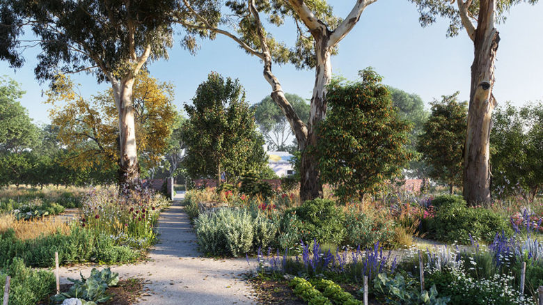 View of the Heide healing garden, looking towards the Heide 1 cottage. Image: Openwork