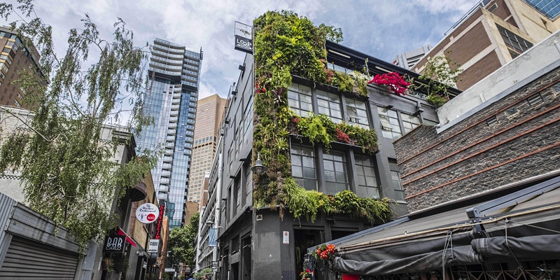 City of Melbourne is launching their Green Factor Tool on Wednesday 27 May (online). Image: City of Melbourne