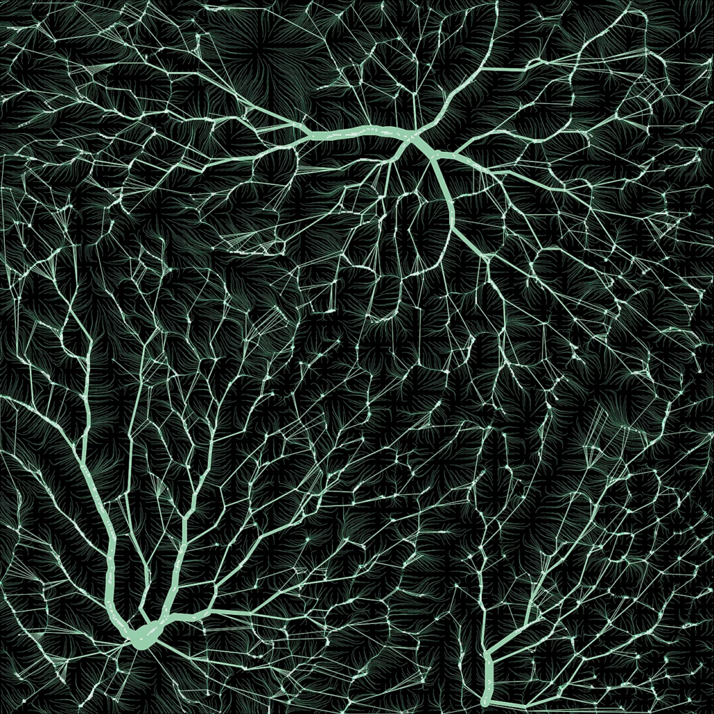 Rain water collection analysis for the City of Guatemala by EcoLogicStudio. The image is computed through a combination of water flow simulation patterns and minimal networks on the Digital Elevation Model mesh of Guatemala City. It shows how natural rainwater flow can inform a new collection and filtration infrastructure that would relieve the problems of water scarcity and land erosion/instability.