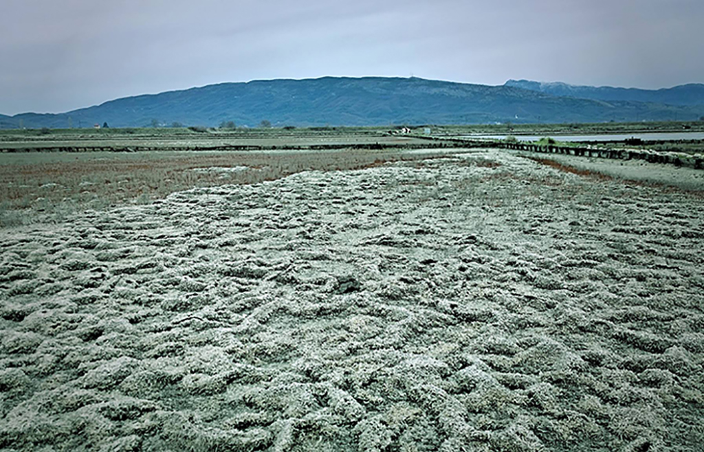 An abandoned salt farm in Montenegro, which ash become an important stopover point for migrating birds.