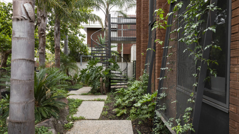 320 George Street by Fiona Harrisson and Simon Ellis Landscape Architects, winner of 2020 AILA Victoria Landscape Architecture Award for Gardens