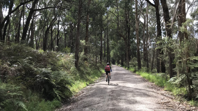 Eastern Regional Trails Strategy by Fitzgerald Frisby Landscape Architecture. Image: FFLA