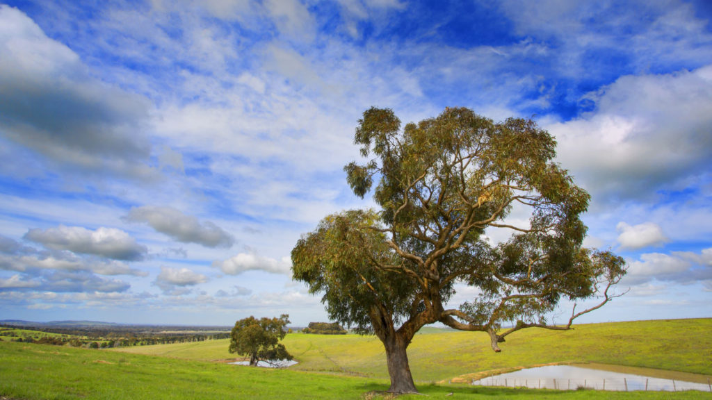 Quarry Hills Regional Parkland Landscape Master Plan retains outer metropolitan areas earmarked for redevelopment as walking trails.