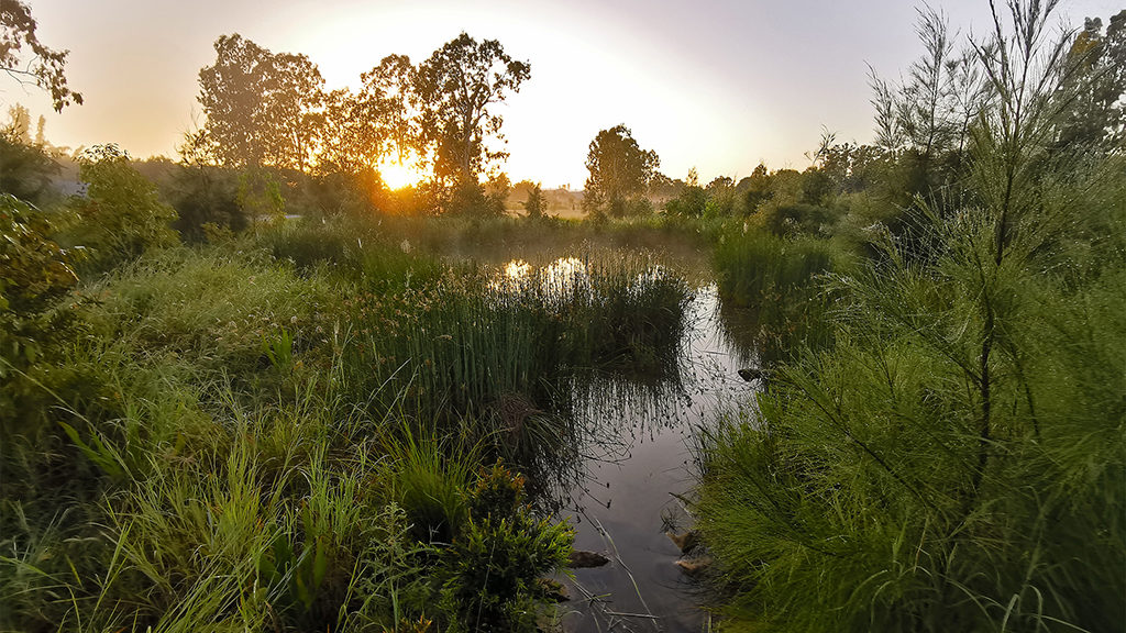 Small Creek, Ipswich