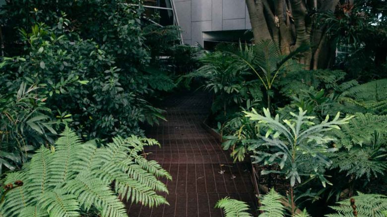 System Garden at University of Melbourne. Image: Tajette O'Halloran