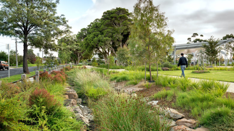 Stormwater management along the side of Sunvale Park. Image: Emma Cross