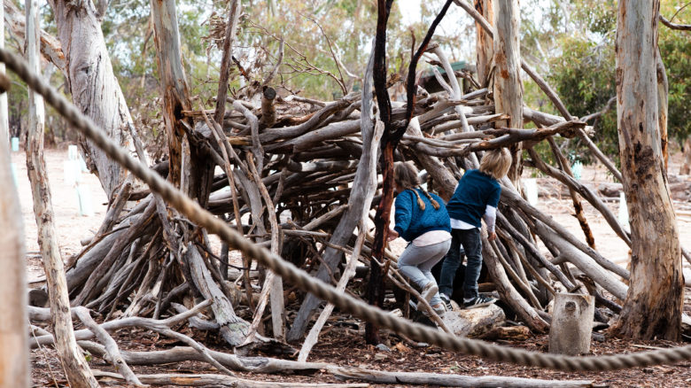 Para Wirra Nature Playspace—TCL. Image: Tash Mohring