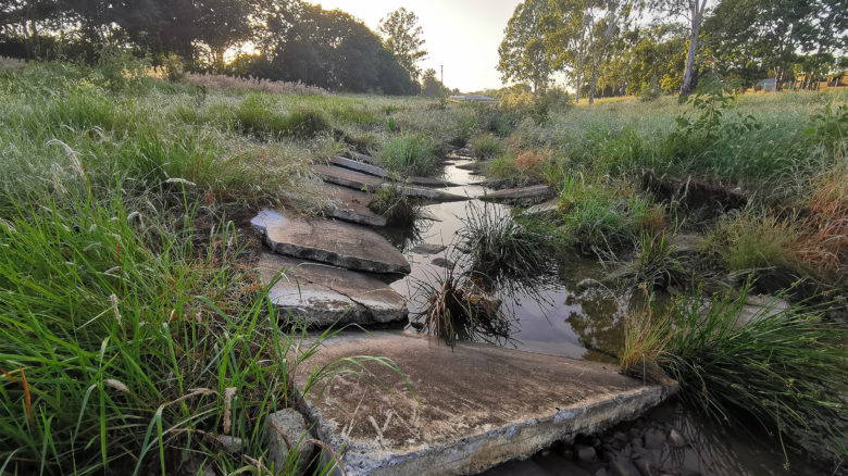 Small Creek Naturalisation - Stages 1 and 2—Landscapology and Bligh Tanner. Image: Alan Hoban