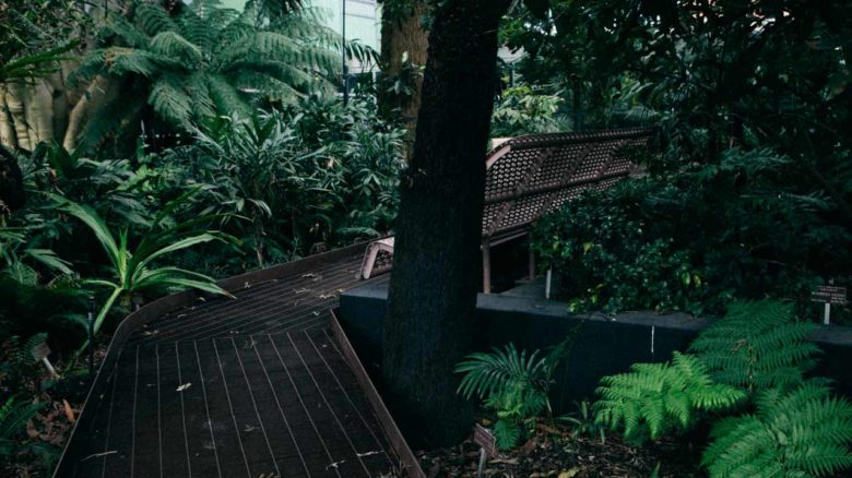 System Garden Rainforest Boardwalk—SBLA Studio. Image: Tajetta OHalloran