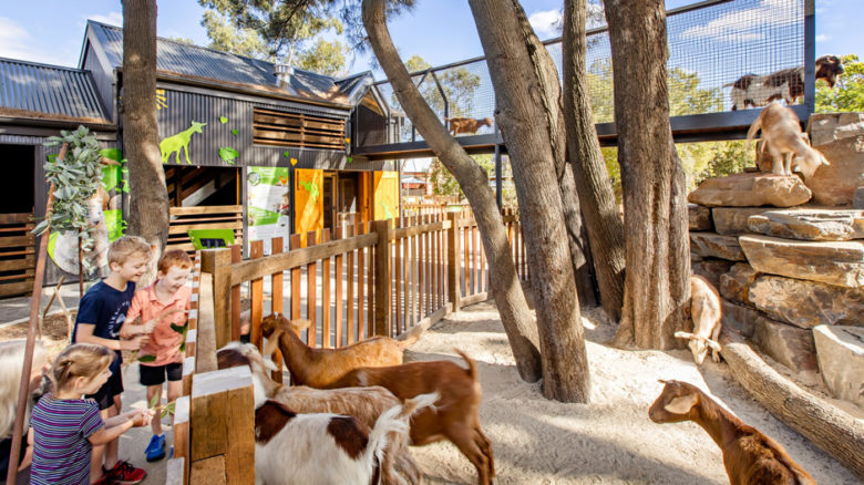 The playful goats in the Children's Zoo could bowl a toddler over, so are now artfully contained by a fence.