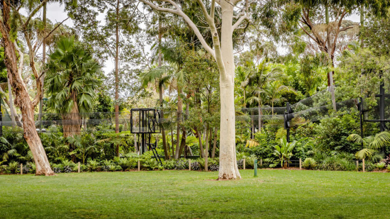 This 'Colobus Crossing' extends from the monkey's habitat along a stretch of the Zoo's main lawn.