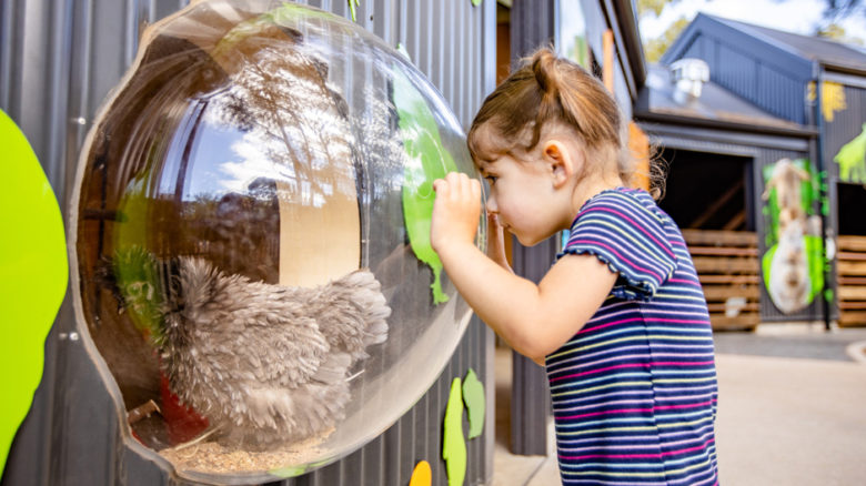 Wall bubbles allow non-intrusive viewing for visitors.