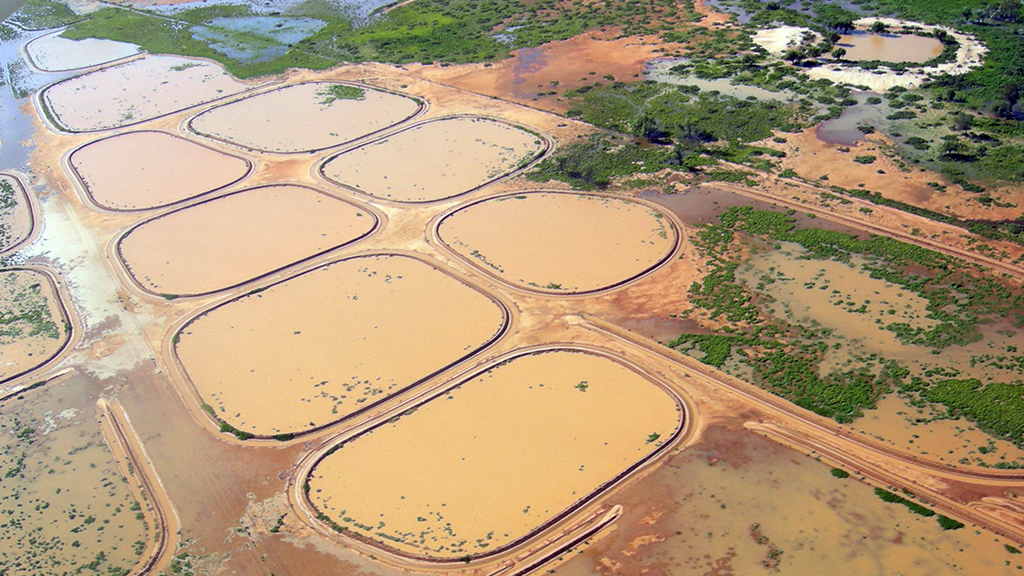 Ray Thompson uses water ponding to regenerate eroded, saline land. Photo: Cameron Muir