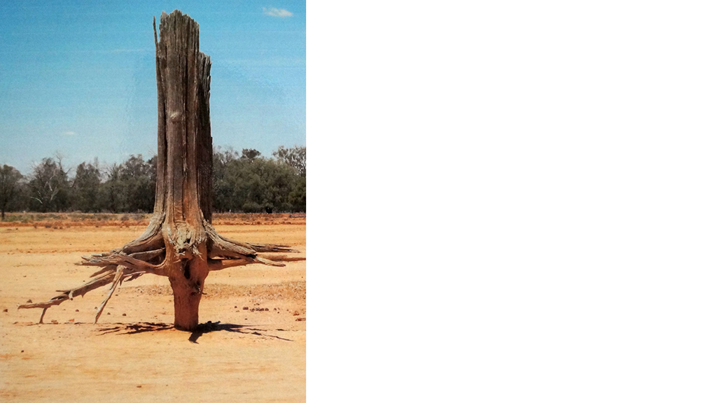 Erosion near Nyngan. Photo: Ray Thomson