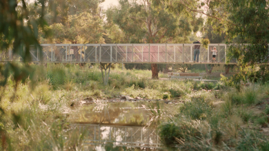 The bridge and stepping stones provide the community with various ways to access and engage with Blind Creek