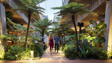 Fish Lane Town Square, winner of 2021 AILA QLD Award of Excellence for Civic Landscape. Photo: Scott Burrows