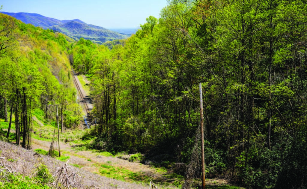 Point Lookout Greenway in western North Carolina, US, was previously eroded, due to landslides caused by the cut-and-fill of road building in the 1920s. Thanks to the extensive planting of kudzu along the roadside edges, it is now a thriving greenway. Photo: Casey Lance Brown