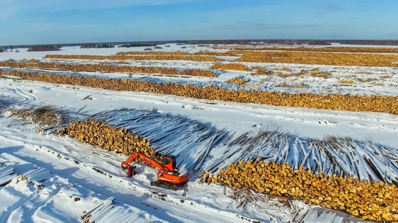 Destruction of forests in Siberia.